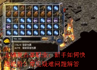 龙啸复古单职业:新手如何快速进阶?常见疑难问题解答 龙啸复古单职业:新手如何快速进阶?常见疑难问题解答