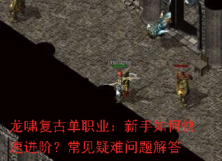 龙啸复古单职业:新手如何快速进阶?常见疑难问题解答 龙啸复古单职业:新手如何快速进阶?常见疑难问题解答