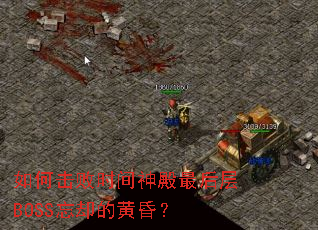 ��λ���ʱ���������BOSS��ȴ�Ļƻ裿