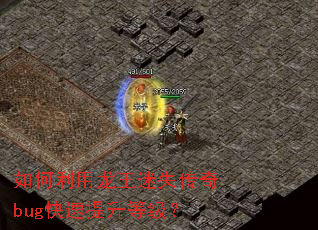 如何利用龙王迷失传奇bug快速提升等级? 如何利用龙王迷失传奇bug快速提升等级?