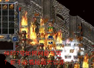 神印7号如何问鼎苍穹?新手必看秘籍大公开 神印7号如何问鼎苍穹?新手必看秘籍大公开