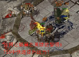 如何让郭襄在英雄的黎明6755中快速提升战力? 如何让郭襄在英雄的黎明6755中快速提升战力?