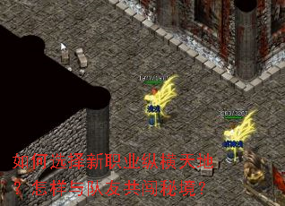 如何选择新职业纵横天地?怎样与队友共闯秘境? 如何选择新职业纵横天地?怎样与队友共闯秘境?