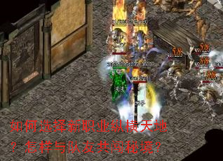 如何选择新职业纵横天地?怎样与队友共闯秘境? 如何选择新职业纵横天地?怎样与队友共闯秘境?