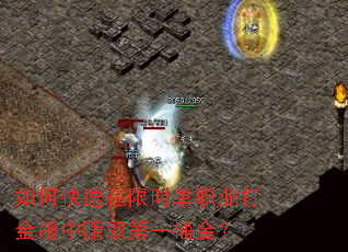 如何快速在限时单职业打金服中赚取第一桶金? 如何快速在限时单职业打金服中赚取第一桶金?
