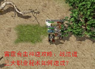 �����ϻ����ٹ��ԣ�ս��������ְҵ��������ٳɣ�