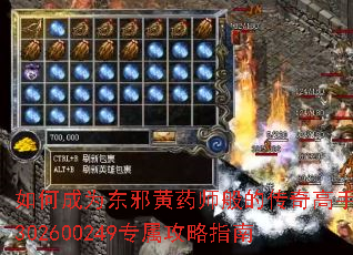 如何成为东邪黄药师般的传奇高手?302600249专属攻略指南 如何成为东邪黄药师般的传奇高手?302600249专属攻略指南