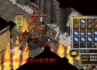 如何高效击败45级怪物? 如何高效击败45级怪物?