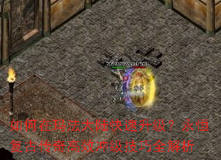 如何在玛法大陆快速升级?永恒复古传奇高效冲级技巧全解析 如何在玛法大陆快速升级?永恒复古传奇高效冲级技巧全解析