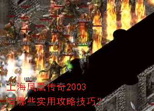 上海凤凰传奇2003有哪些实用攻略技巧? 上海凤凰传奇2003有哪些实用攻略技巧?