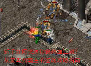 ������ο��ٳư���Ѫ�������Ӳ��񵽰�������ս����ָ��