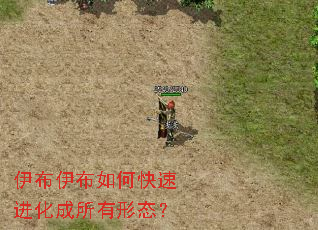 伊布伊布如何快速进化成所有形态? 伊布伊布如何快速进化成所有形态?