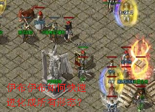 伊布伊布如何快速进化成所有形态? 伊布伊布如何快速进化成所有形态?