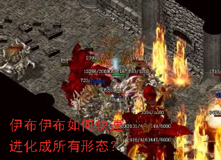 伊布伊布如何快速进化成所有形态? 伊布伊布如何快速进化成所有形态?