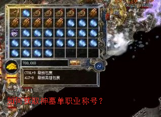 如何获取神墓单职业称号? 如何获取神墓单职业称号?