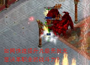 ��ο��������Ŷ������������ְҵ��ս������