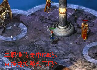 ��ְҵ������RMB��ֱ�Ӷһ���Ϸ����