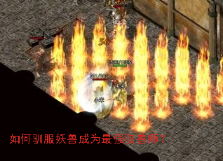 如何驯服妖兽成为最强驭兽师? 如何驯服妖兽成为最强驭兽师?