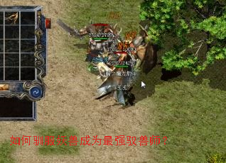 如何驯服妖兽成为最强驭兽师? 如何驯服妖兽成为最强驭兽师?