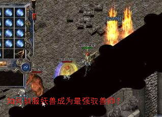 如何驯服妖兽成为最强驭兽师? 如何驯服妖兽成为最强驭兽师?