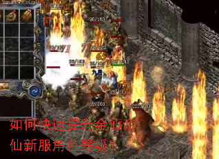 如何快速提升金仙帝仙新服角色等级? 如何快速提升金仙帝仙新服角色等级?