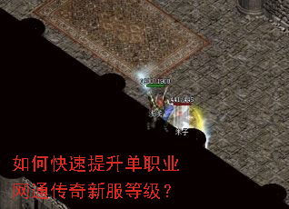 如何快速提升单职业网通传奇新服等级? 如何快速提升单职业网通传奇新服等级?