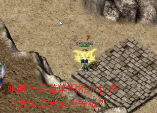 ����������ְ��ҵ�����п���������ɫ�ȼ���