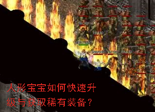 ���α�����ο����������ȡϡ��װ����