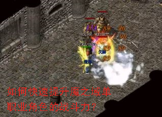 ��ο�������ħ֮��ְҵ��ɫ��ս������