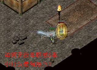 ���������ְ��5���д�����ǿ��ɫ��