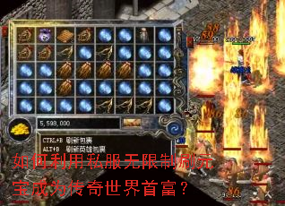 �������˽��������ˢԪ����Ϊ���������׸���