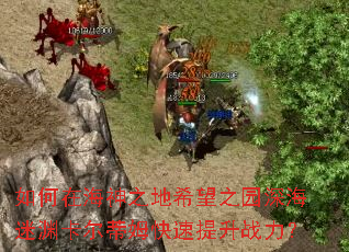 ����ں���֮��ϣ��֮԰���Ԩ������ķ��������ս����