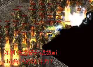 ��ο�������ս��mishi��ɫ��ս������