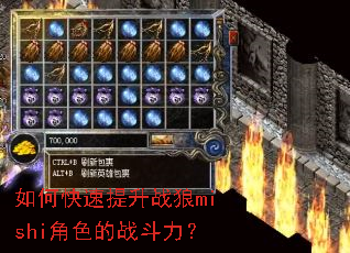 ��ο�������ս��mishi��ɫ��ս������