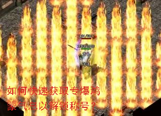 ��ο��ٻ�ȡר��������Ϣ�Խ����ƺţ�