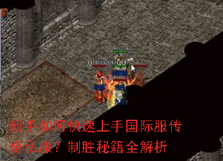 ������ο������ֹ��ʷ�����˽������ʤ�ؼ�ȫ����