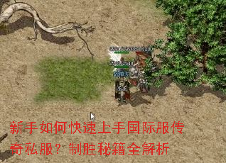 ������ο������ֹ��ʷ�����˽������ʤ�ؼ�ȫ����