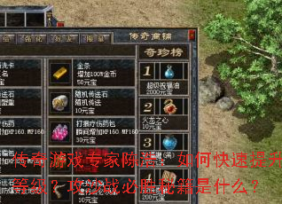 ������Ϸר�ҳºƣ���ο��������ȼ�����ɳս��ʤ�ؼ���ʲô��