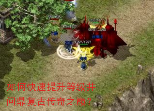 ��ο��������ȼ����ʶ����Ŵ���֮�ۣ�