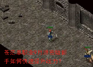 ��ã��ְҵ9��й�ܰ�������ο�������ս����