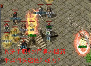 ��ã��ְҵ9��й�ܰ�������ο�������ս����