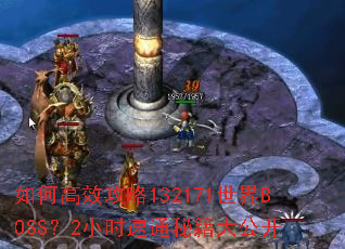 ��θ�Ч����132171����BOSS��2Сʱ��ͨ�ؼ��󹫿�