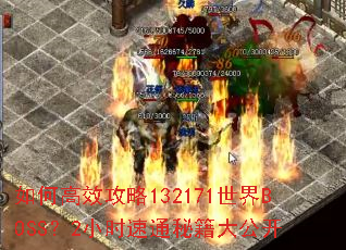 ��θ�Ч����132171����BOSS��2Сʱ��ͨ�ؼ��󹫿�