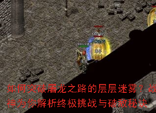 ���ͻ������֮·�Ĳ��������ս��Ϊ������ռ���ս���Ƶ��ؾ�