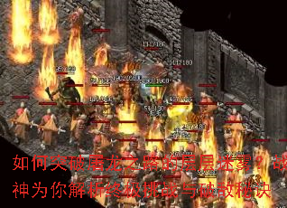 ���ͻ������֮·�Ĳ��������ս��Ϊ������ռ���ս���Ƶ��ؾ�