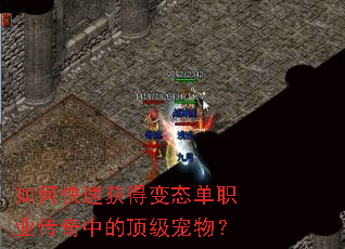 ��ο��ٻ�ñ�̬��ְҵ�����еĶ������