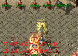 ��ο��������ȼ������������弶��������Щ��