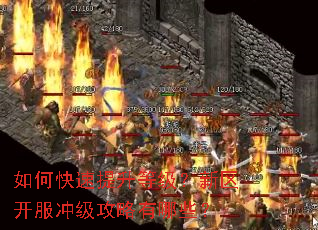 ��ο��������ȼ������������弶��������Щ��