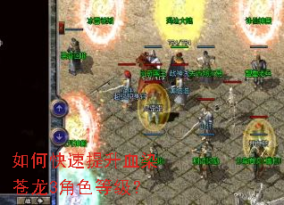 ��ο�������ѪȾ����3��ɫ�ȼ���