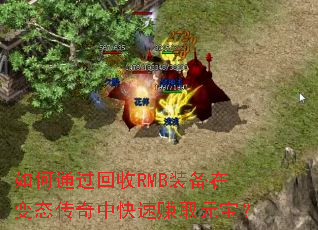 ���ͨ������RMBװ���ڱ�̬�����п���׬ȡԪ����